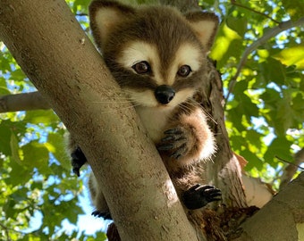 現在、この商品の在庫はありません - Etsy