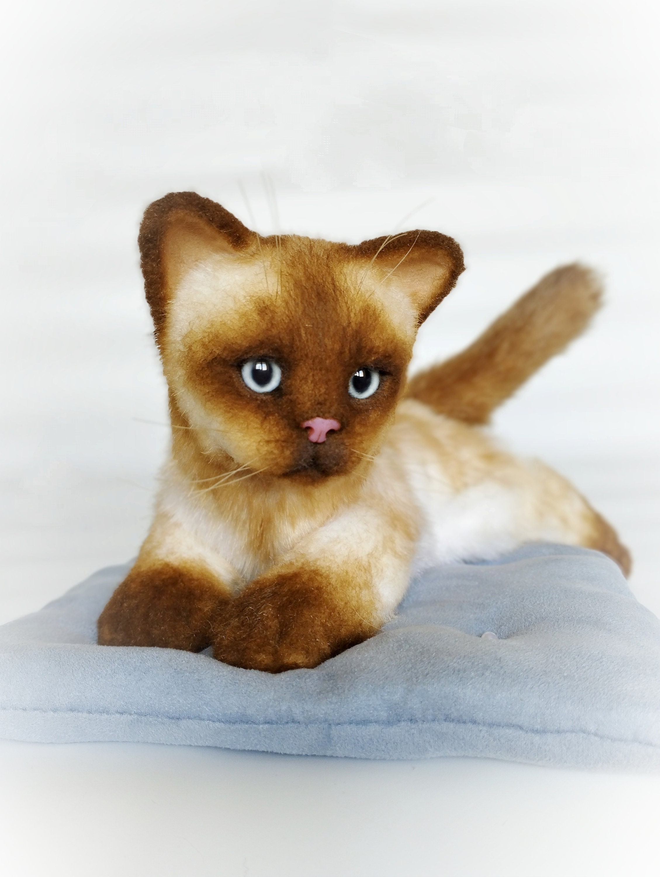 シャム猫のぬいぐるみ、子猫の等身大のおもちゃ、リアルな動物