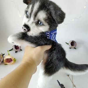 Realistic plush husky puppy,plush dog, stuffed animals, ooak animals, dog replica, puppy plushie toy, husky dog,custom plush