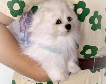 リアルな白いスピッツの子犬、ぬいぐるみの犬、リアルな子犬、犬の
