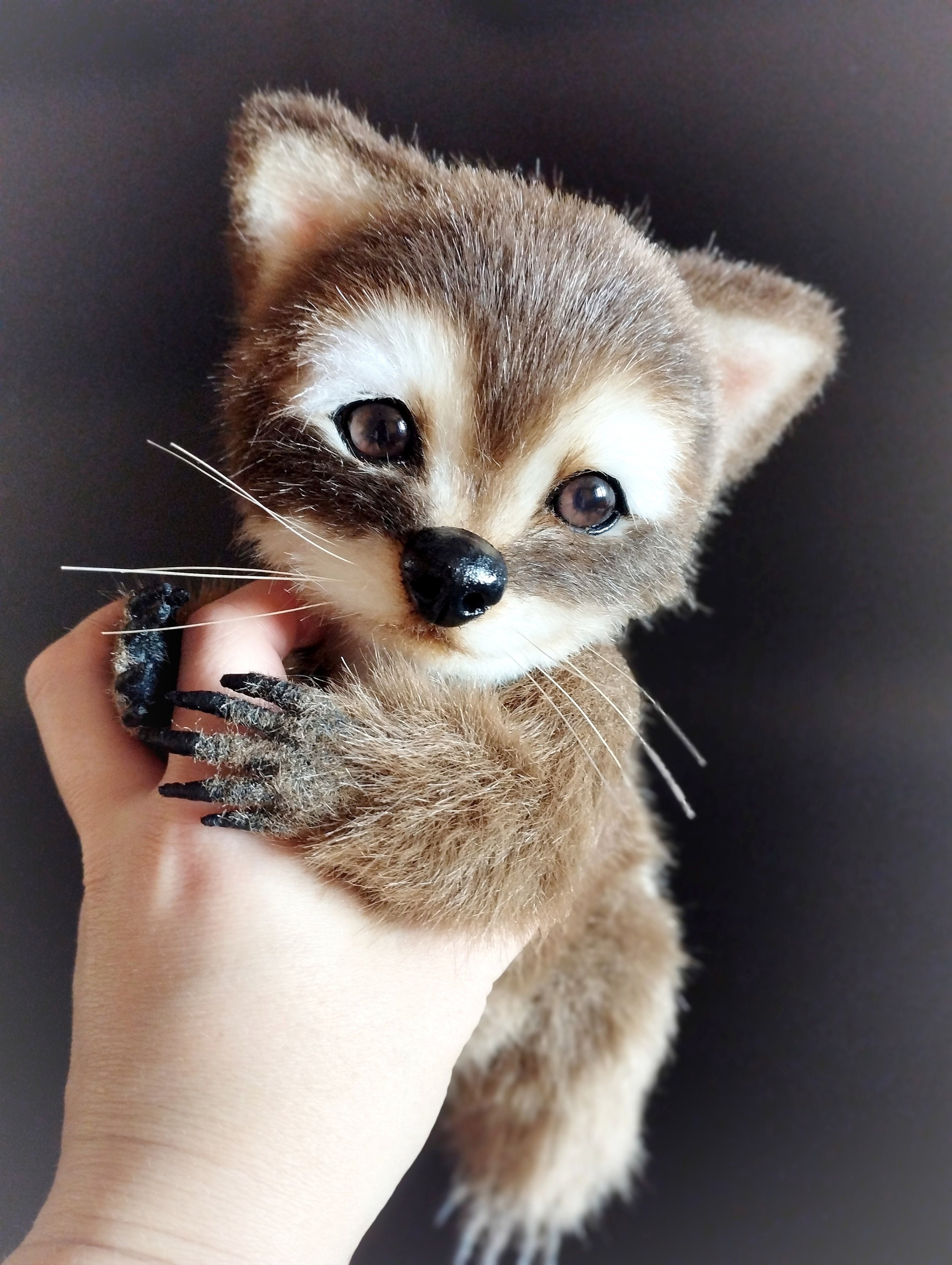アライグマのぬいぐるみ、手作りのアライグマ、リアルなぬいぐるみ