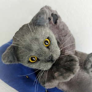 Handmade cat toy, cat plushie, custom plushie, cat plush, cat dolls, stuffed cat, cat stuffed animal, stuffed cat doll, realistic kitten