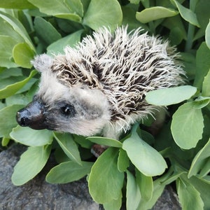 Realistic little hedgehog, hedgehog toy, hedgehog gifts, plush hedgehog , stuffed plush toy, cute plushie, ooak plush, custom plush