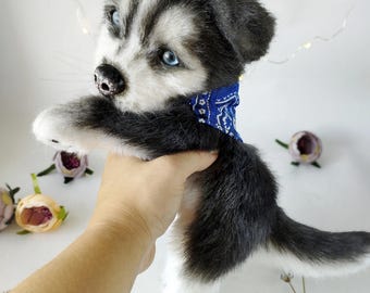 Husky plush dog,realistic husky puppy ,plush dog, stuffed  animals, handmade puppy, custom plush, pet plush, cute plushie