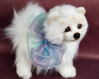 オーダーメイドのスピッツの子犬：コレクター向けポメラニアンの