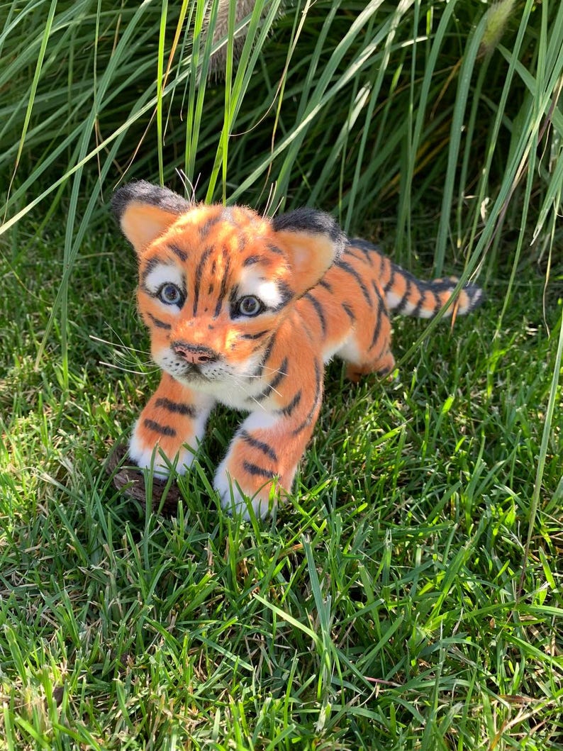 Op de afbeelding: Een klein, oranje en zwart tijgerwelpje knuffeldier met blauwe ogen, zittend in groen gras.