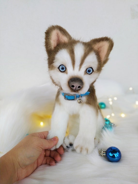 Husky dog puppy plush toycollectible toysiberian Etsy