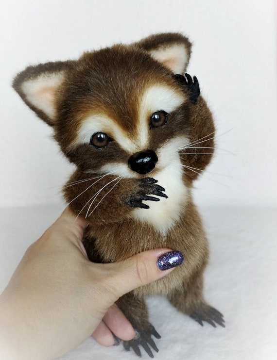 Mignon Câlin Jouet Raton Laveur. Raccoon - Petite Peluche Animaux