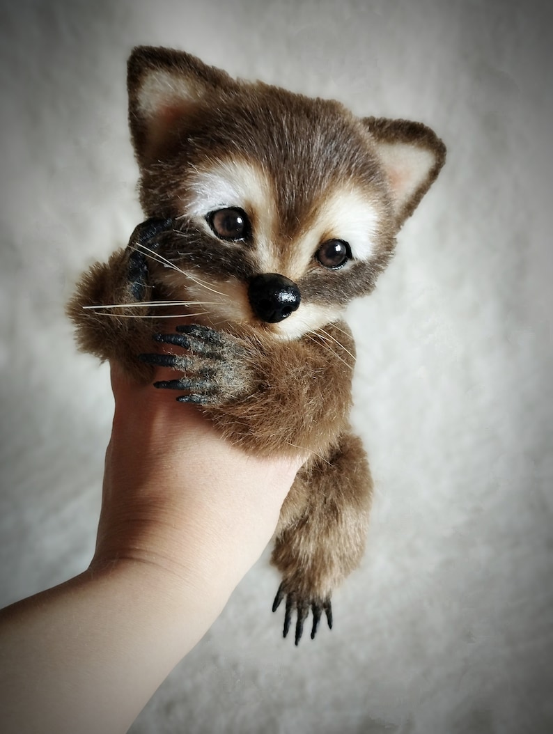 May include: A small, plush raccoon toy with brown fur, black eyes, and a black nose. The toy is being held in a person's hand.
