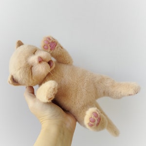 Newborn plush kitten, realistic cat, custom plush, cat plush, plushie, stuffed cat plush, pet plush, cute little cat