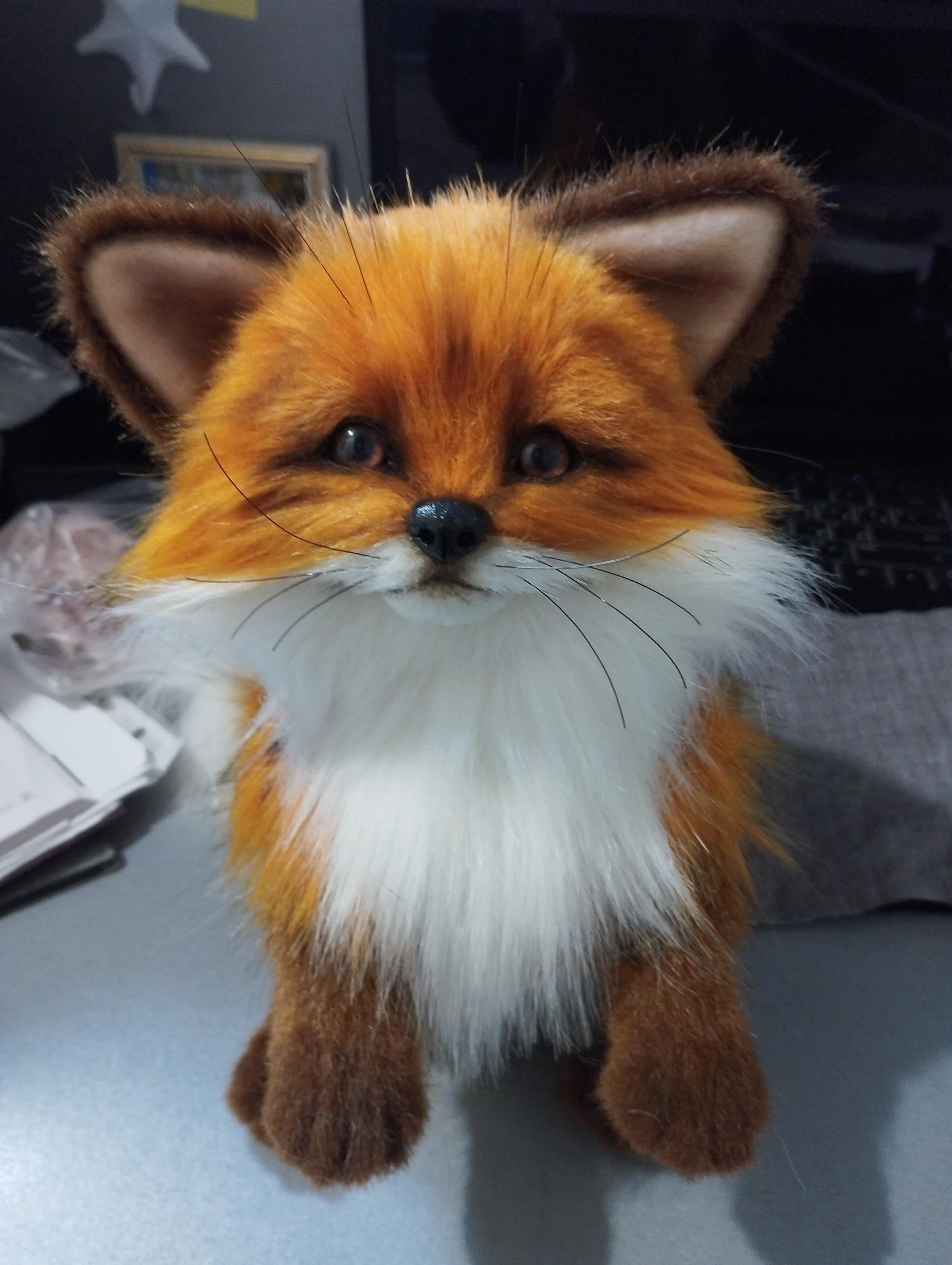 Realistic Fox,made TO Order!!!handmade Cute Plush Fox Toy, Stuffed