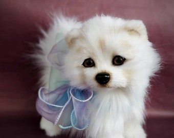 Snowball large pomeranian puppy
