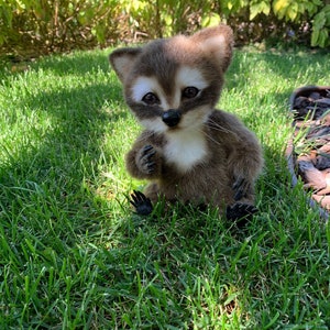 May include: A small, plush raccoon toy with brown fur, a white chest, and black eyes. The toy is sitting on a bed of green grass.