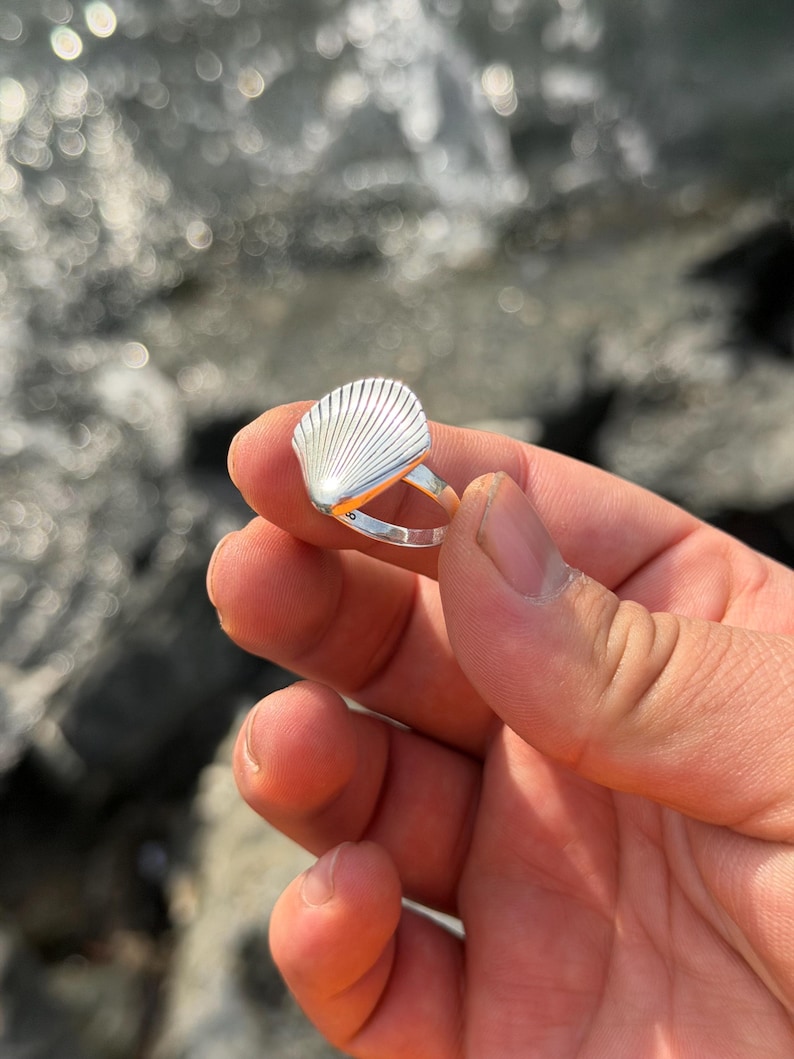Shell 925 Ring 925 Sterling Silver Seashell Ring, Minimalist Scallop Shell Ring - Etsy
