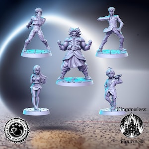 Anime Series Vol 1 Full Set DnD Miniature, Tabletop RPG DnD Mini, D&D Figurines, Fantasy Gaming and Pathfinder, RN Estudio, Gift