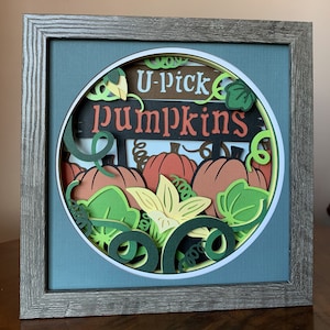 U Pick Pumpkins 8x8 Shadowbox