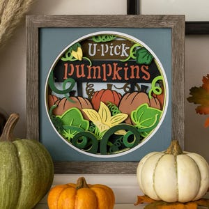 U Pick Pumpkins 8x8 Shadowbox