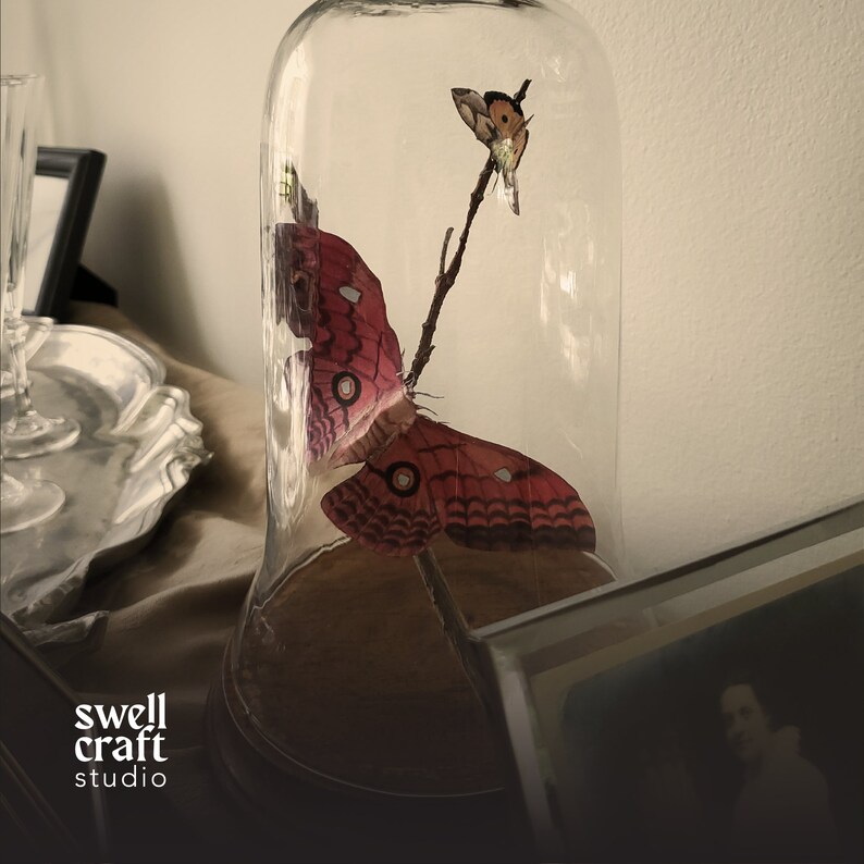 Vintage Moth Pinning Print DIY Faux Taxidermy Gothic Dark Etsy