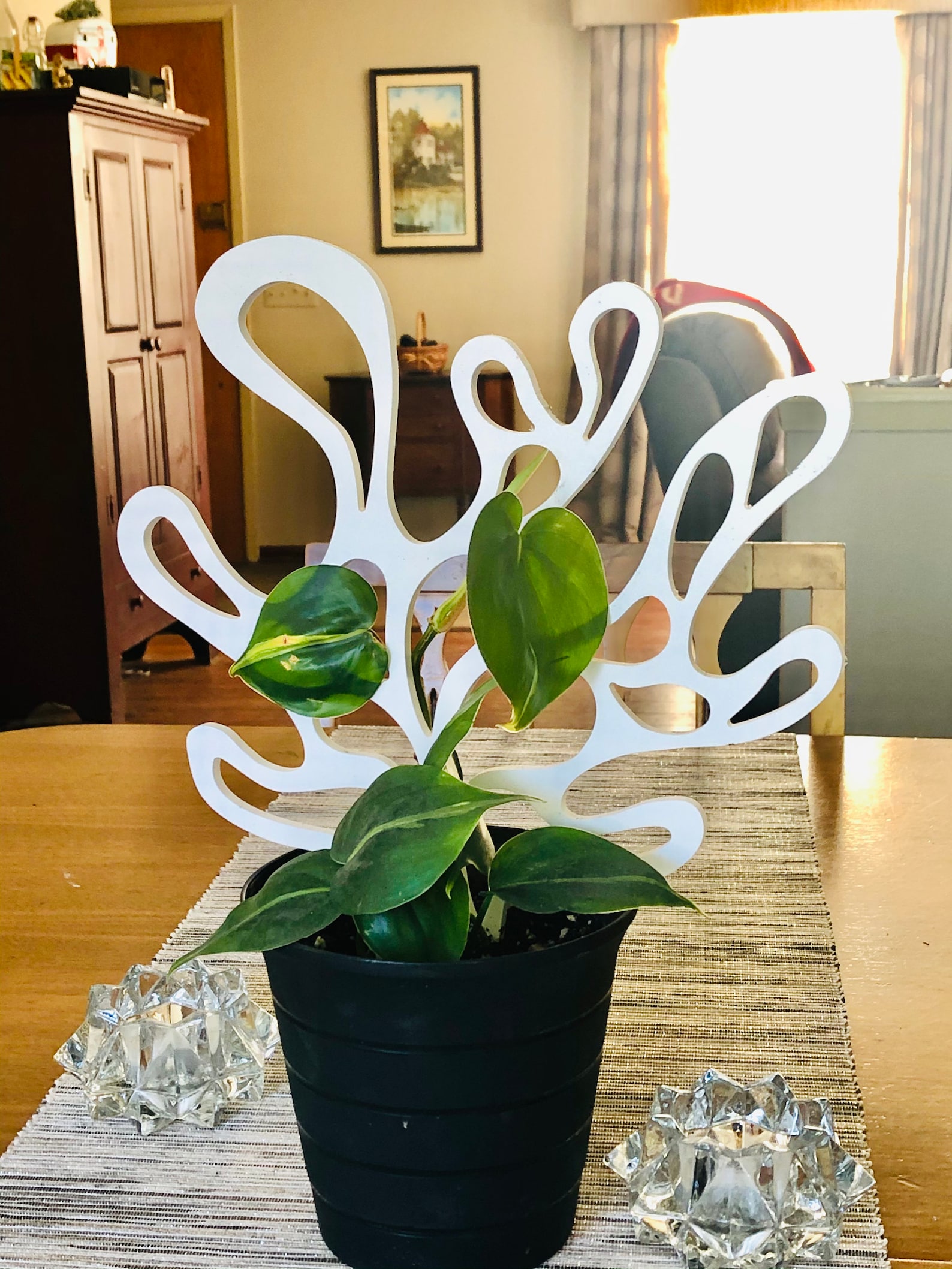 House Plant Trellises Etsy