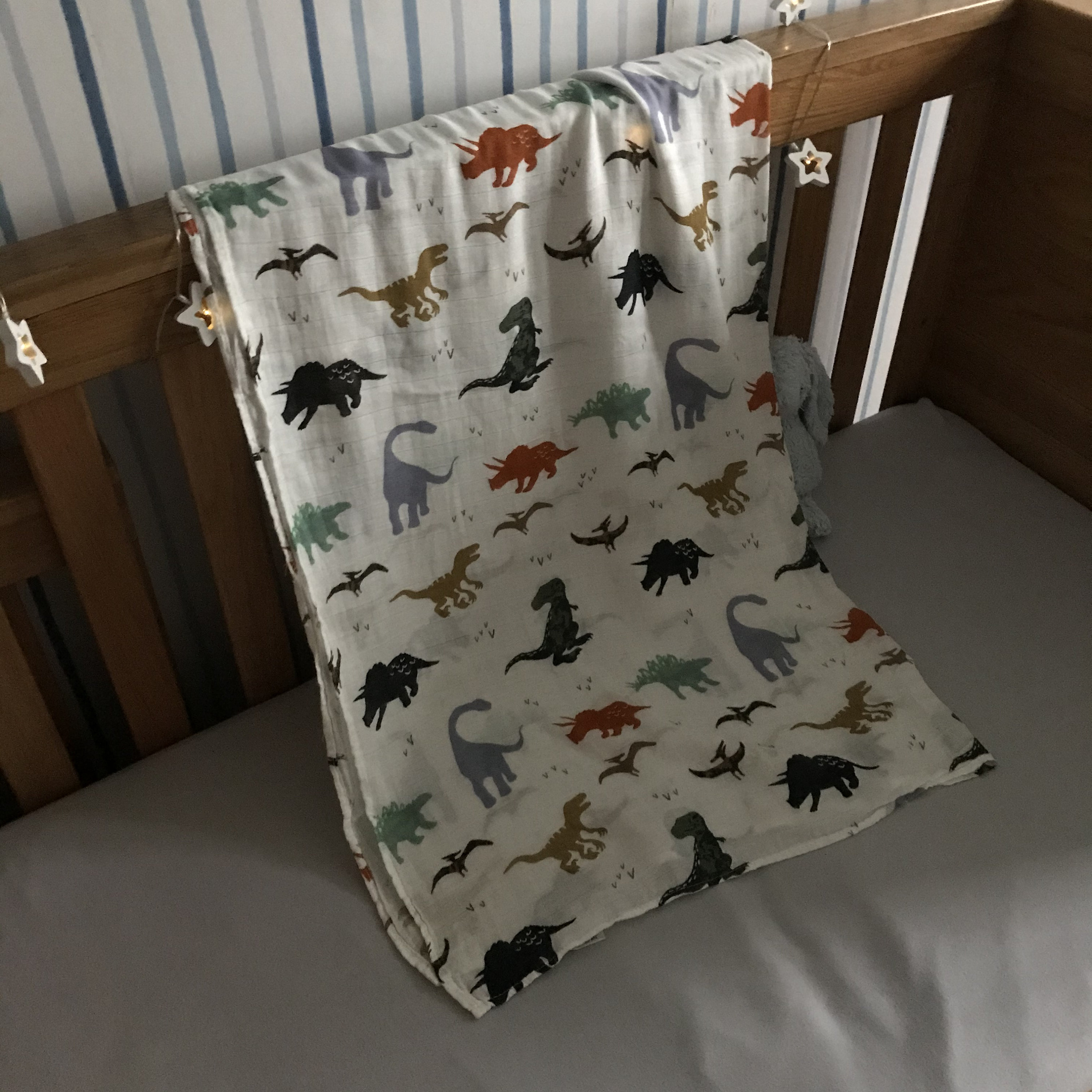 Dinosaur Bamboo Muslins / Baby Gifts / Baby Shower Gifts / Etsy UK