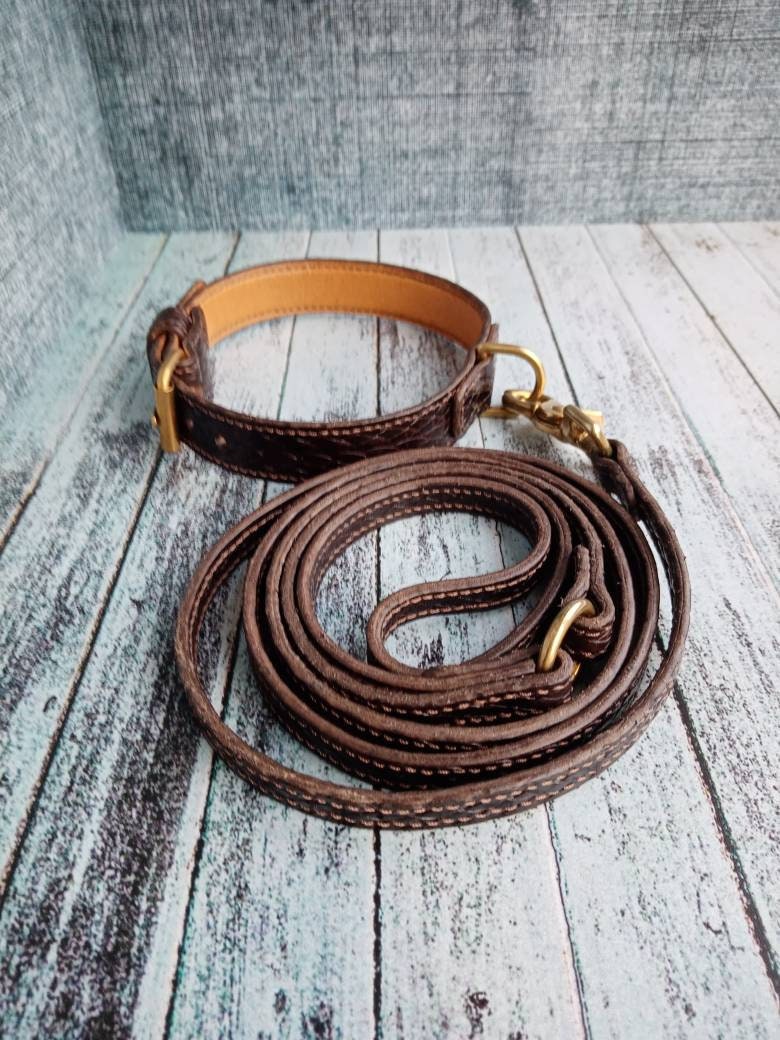 Collar and leash set.Dog collar and leash.Collar and leash.Dog Etsy