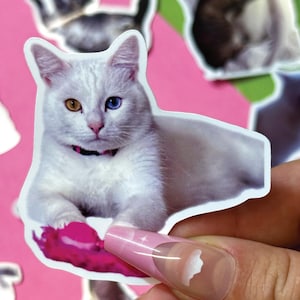 Autocollants personnalisés pour animaux de compagnie – Autocollants en vinyle personnalisés à partir de la photo de votre animal – Autocollants imperméables, découpés et mignons pour animaux de compagnie – Chien, chat, tout animal