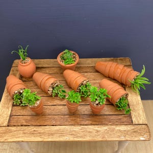 Dollhouse Miniature 1:12 Scale Herb Plants in Stacked Terracotta Pots