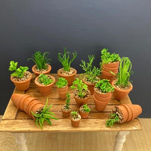 Dollhouse Miniature 1:12 Scale Herb Plants in Terracotta Pots Set of Four