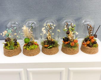 May include: Five glass cloche terrariums with cork bases, each containing a different miniature woodland scene. The scenes include dried flowers, moss, and small figurines.