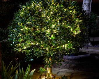 LED Solar Fairy String Garden Lights - 100 Lights or 200 Lights - Fast & Free UK Delivery