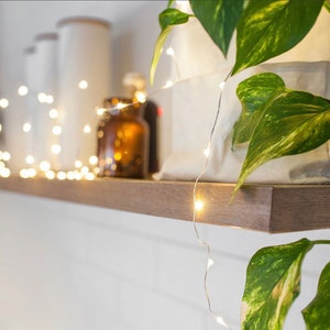 May include: White string lights draped over a wooden shelf with white ceramic jars and a brown glass jar. A potted plant with green leaves is in the background.