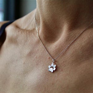 May include: A silver chain necklace with a small paw print pendant.