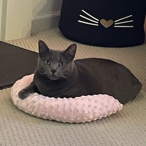 U-Shaped Cat Pillow, cat pillow, cat lounging pillow, lounging pillow for cat. comfy pillow, cat stuff