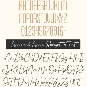 Lemon & Lime Duo Embroidery Font BX Monogram 658 Files Sans and Script ...
