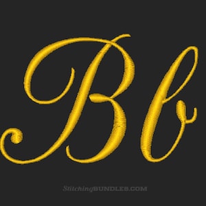 Fuente Champagne Script para máquinas de bordar, 5 tamaños, descarga instantánea, monograma BX, números elegantes, puntuación, alfabetos, cursiva para bodas. imagen 2