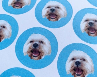 Custom pet face stickers, personalised with your dogs / cats face.