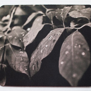 Leaves In Rain Gray and Black Mouse Pad