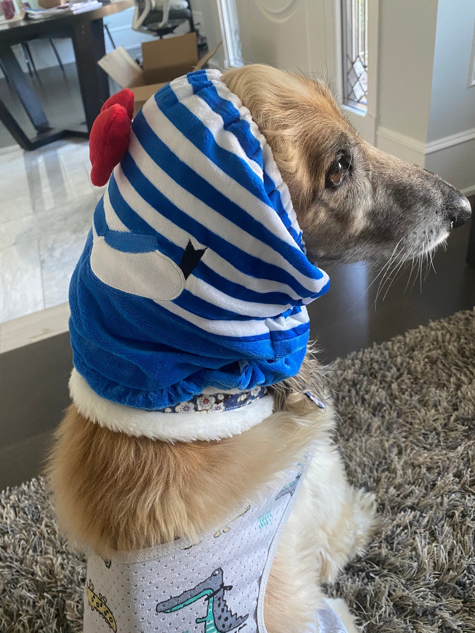 Lange Ohren Hund Schnood rot SchleifeKnoten Mittelgroße Etsy