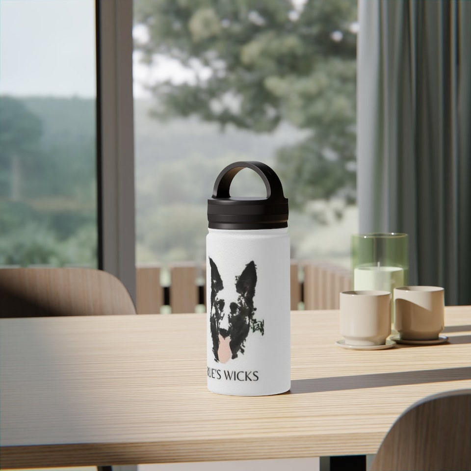 Discover Stainless Steel Water Bottle, Handle Lid