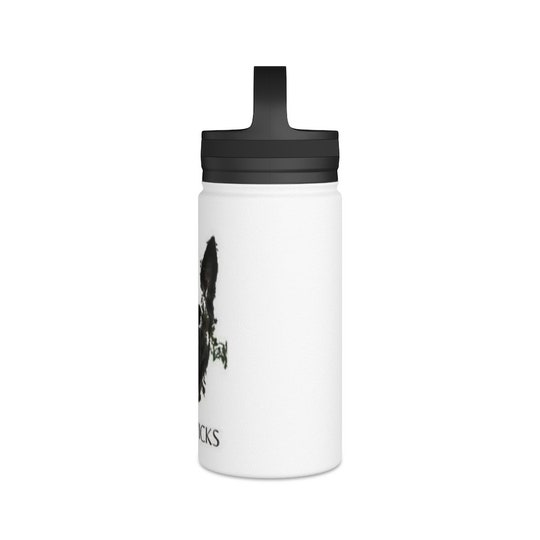 Disover Stainless Steel Water Bottle, Handle Lid
