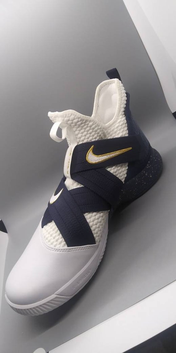 lebron james shoes witness