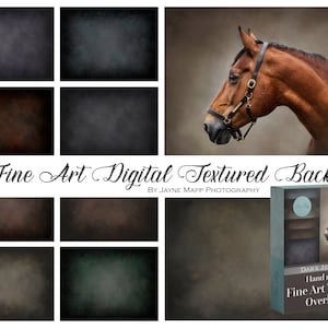 Dark Jewells: 8 Fine Art Portrait Painterly Texture Photoshop Overlays, Textures for Photoshop, canvas, digital backdrop background, jpgs
