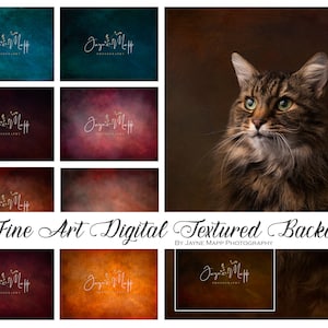 May include: Nine digital textured backdrops in various colours, including teal, red, brown, and orange. Each backdrop features a subtle, painterly texture and a watermark with the text "Jayne Mapp Photography".