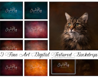 Silk & Jewel : 9 Fine Art Portrait Painterly Texture Photoshop Overlays, Textures for Photoshop, canvas, digital backdrop background, jpgs