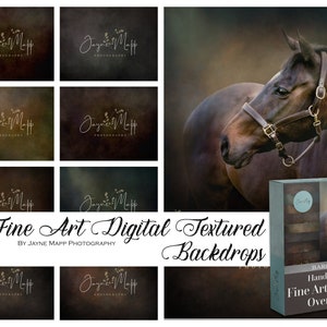 Baroque 8: Fine Art Portrait Painterly Texture Photoshop Overlays. Textures for Photoshop, PS Textures, digital backdrop Jpg.