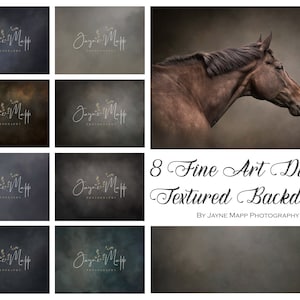Mist & Fog: 8 Fine Art Portrait Painterly Texture Photoshop Overlays. Textures for Photoshop, PS Textures, digital backdrop Jpg.