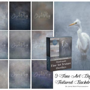 Può includere: Una collezione di nove sfondi digitali con texture artistiche. L'immagine include un uccello bianco con becco giallo nell'acqua e un set di sovrapposizioni con un'immagine di cavallo. Il testo recita "January Frost" e "Fine Art Texture Overlays".