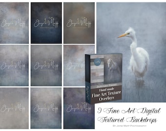 May include: A collection of nine fine art digital textured backdrops. The image includes a white bird with a yellow beak standing in water, and a box set of overlays with a horse image. The text reads "January Frost" and "Fine Art Texture Overlays".