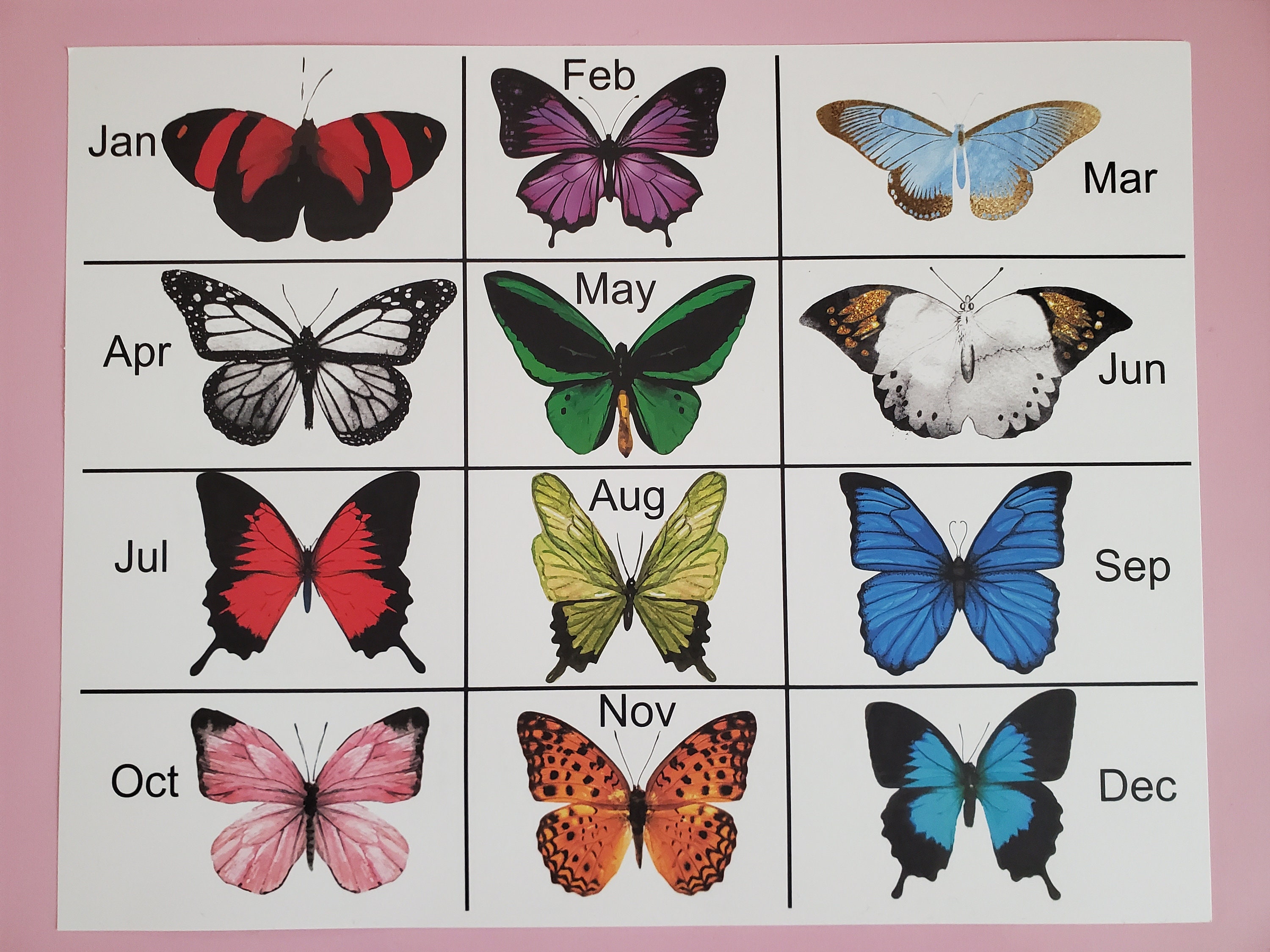 Butterfly Birth Month Gift Box Butterfly Birthstone Gift Etsy
