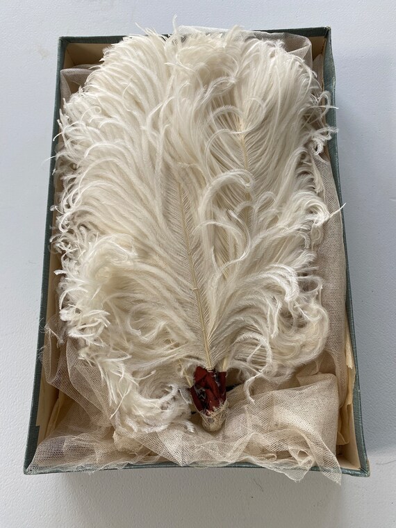 Victorian Court Feathers And Veil. Antique Ostric… - image 4